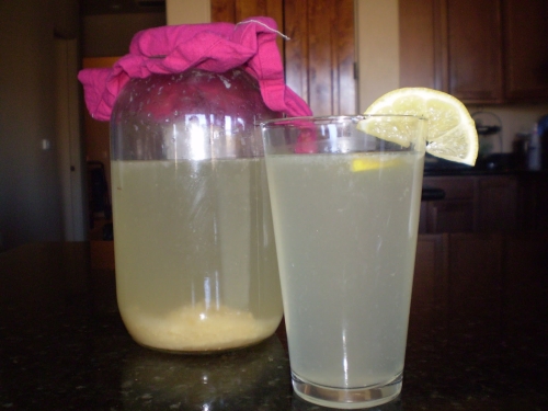 Fermented Lemonade