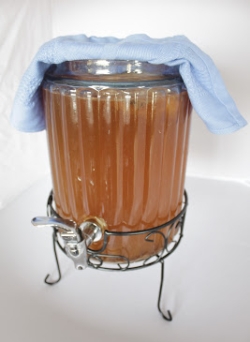 Kombucha