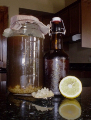 Water Kefir